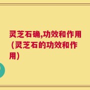 灵芝石确,功效和作用 (灵芝石的功效和作用)