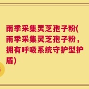 雨季采集灵芝孢子粉(雨季采集灵芝孢子粉，拥有呼吸系统守护型护盾)