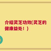 介绍灵芝功效(灵芝的健康益处！)