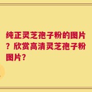纯正灵芝孢子粉的图片？欣赏高清灵芝孢子粉图片？