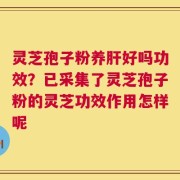 灵芝孢子粉养肝好吗功效？已采集了灵芝孢子粉的灵芝功效作用怎样呢