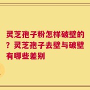灵芝孢子粉怎样破壁的？灵芝孢子去壁与破壁有哪些差别
