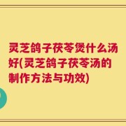 灵芝鸽子茯苓煲什么汤好(灵芝鸽子茯苓汤的制作方法与功效)