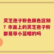 灵芝孢子粉色颜色区别？市面上的灵芝孢子粉都是带小蓝帽的吗