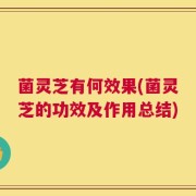 菌灵芝有何效果(菌灵芝的功效及作用总结)