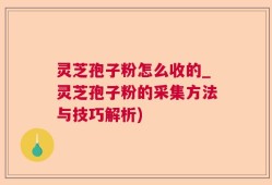 灵芝孢子粉怎么收的_灵芝孢子粉的采集方法与技巧解析)