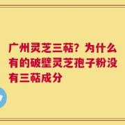 广州灵芝三萜？为什么有的破壁灵芝孢子粉没有三萜成分