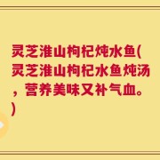灵芝淮山枸杞炖水鱼(灵芝淮山枸杞水鱼炖汤，营养美味又补气血。)