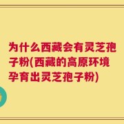 为什么西藏会有灵芝孢子粉(西藏的高原环境孕育出灵芝孢子粉)