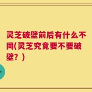 灵芝破壁前后有什么不同(灵芝究竟要不要破壁？)