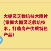 大棚灵芝栽培技术图片(掌握大棚灵芝栽培技术，打造高产优质特色产品)