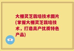 大棚灵芝栽培技术图片(掌握大棚灵芝栽培技术，打造高产优质特色产品)