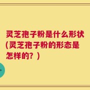 灵芝孢子粉是什么形状(灵芝孢子粉的形态是怎样的？)
