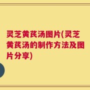 灵芝黄芪汤图片(灵芝黄芪汤的制作方法及图片分享)