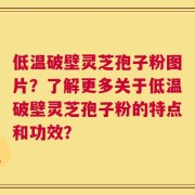 低温破壁灵芝孢子粉图片？了解更多关于低温破壁灵芝孢子粉的特点和功效？