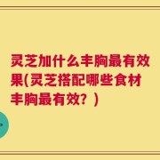灵芝加什么丰胸最有效果(灵芝搭配哪些食材丰胸最有效？)