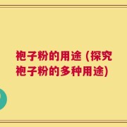 袍子粉的用途 (探究袍子粉的多种用途)