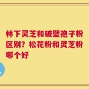 林下灵芝和破壁孢子粉区别？松花粉和灵芝粉哪个好