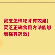 灵芝怎样吃才有效果(灵芝正确食用方法能够增强其药效)