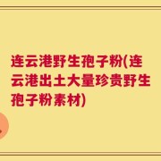连云港野生孢子粉(连云港出土大量珍贵野生孢子粉素材)