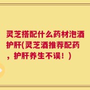 灵芝搭配什么药材泡酒护肝(灵芝酒推荐配药，护肝养生不误！)