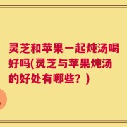 灵芝和苹果一起炖汤喝好吗(灵芝与苹果炖汤的好处有哪些？)