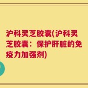 沪科灵芝胶囊(沪科灵芝胶囊：保护肝脏的免疫力加强剂)
