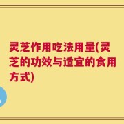 灵芝作用吃法用量(灵芝的功效与适宜的食用方式)