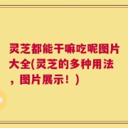 灵芝都能干嘛吃呢图片大全(灵芝的多种用法，图片展示！)