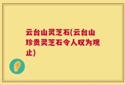 云台山灵芝石(云台山珍贵灵芝石令人叹为观止)