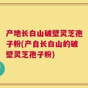 产地长白山破壁灵芝孢子粉(产自长白山的破壁灵芝孢子粉)