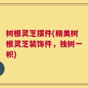 树根灵芝摆件(精美树根灵芝装饰件，独树一帜)