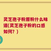 灵芝孢子粉原粉什么味道(灵芝孢子粉的口感如何？)