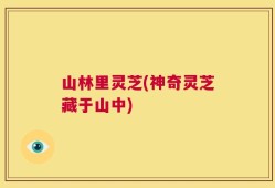 山林里灵芝(神奇灵芝藏于山中)