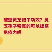 破壁灵芝孢子功效？灵芝孢子粉真的可以提高免疫力吗