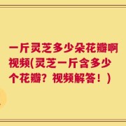一斤灵芝多少朵花瓣啊视频(灵芝一斤含多少个花瓣？视频解答！)