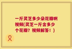 一斤灵芝多少朵花瓣啊视频(灵芝一斤含多少个花瓣？视频解答！)