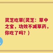 灵芝吃草(灵芝：草中之宝，功效不减草药，你吃了吗？)
