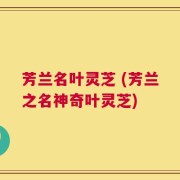 芳兰名叶灵芝 (芳兰之名神奇叶灵芝)