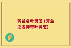 芳兰名叶灵芝 (芳兰之名神奇叶灵芝)