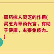草药拟人灵芝的作用(灵芝为草药代言，有助于健康，主宰免疫力。)