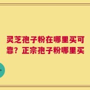 灵芝孢子粉在哪里买可靠？正宗孢子粉哪里买