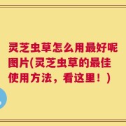 灵芝虫草怎么用最好呢图片(灵芝虫草的最佳使用方法，看这里！)