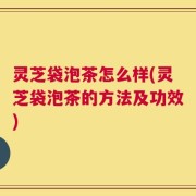 灵芝袋泡茶怎么样(灵芝袋泡茶的方法及功效)