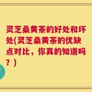 灵芝桑黄茶的好处和坏处(灵芝桑黄茶的优缺点对比，你真的知道吗？)
