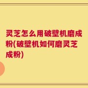 灵芝怎么用破壁机磨成粉(破壁机如何磨灵芝成粉)