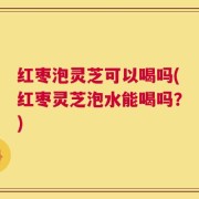 红枣泡灵芝可以喝吗(红枣灵芝泡水能喝吗？)