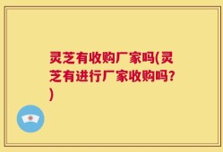 灵芝有收购厂家吗(灵芝有进行厂家收购吗？)