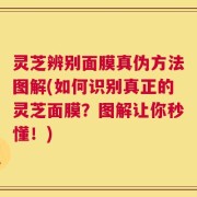 灵芝辨别面膜真伪方法图解(如何识别真正的灵芝面膜？图解让你秒懂！)