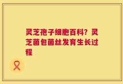 灵芝孢子细胞百科？灵芝菌包菌丝发育生长过程
